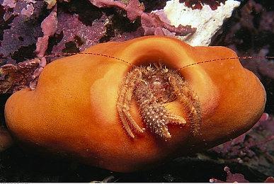 《漫威蜘蛛侠2》更新意外开放开发菜单 首个DLC泄露